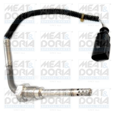 Sensor, exhaust gas temperature